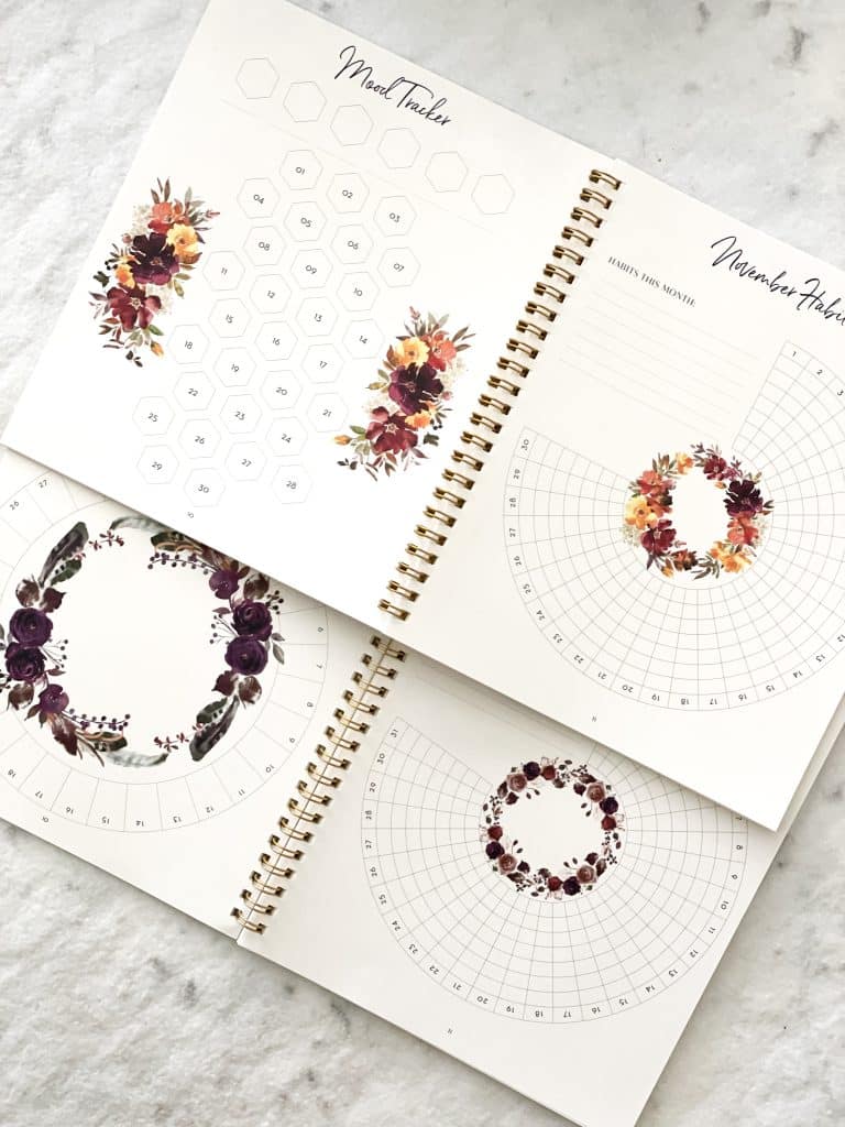 monthly trackers inside planner called silk and sonder