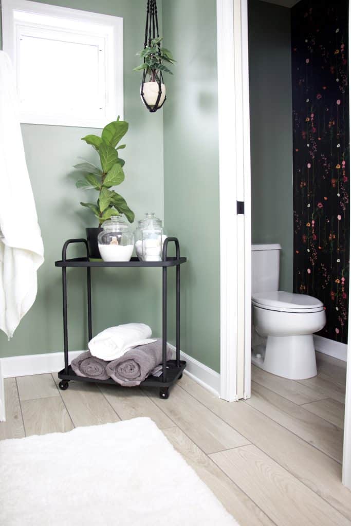 primary bathroom nook