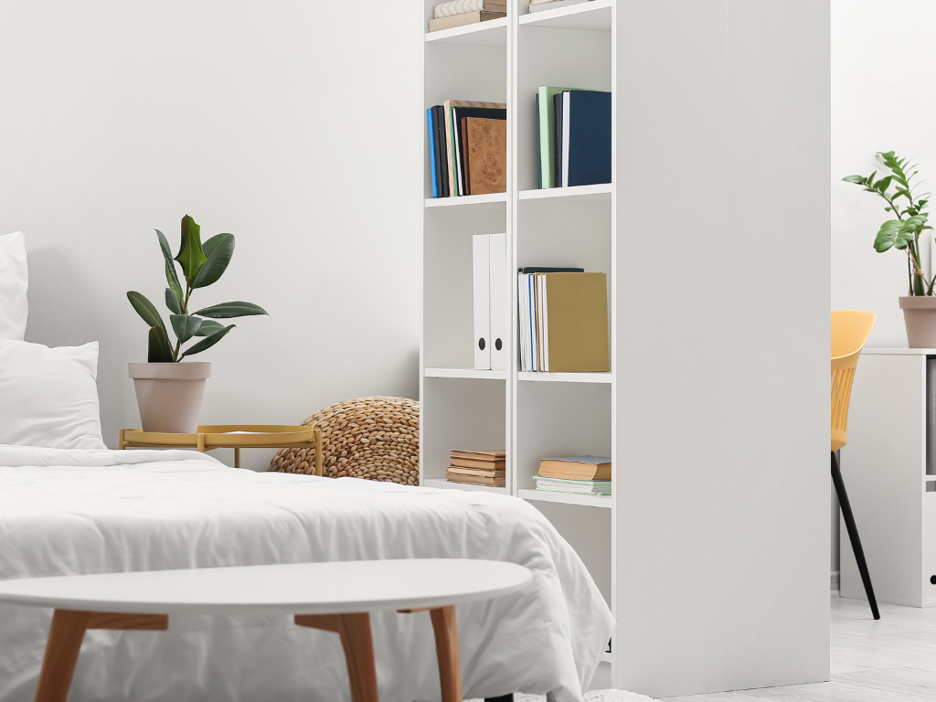 bookcase as room divider